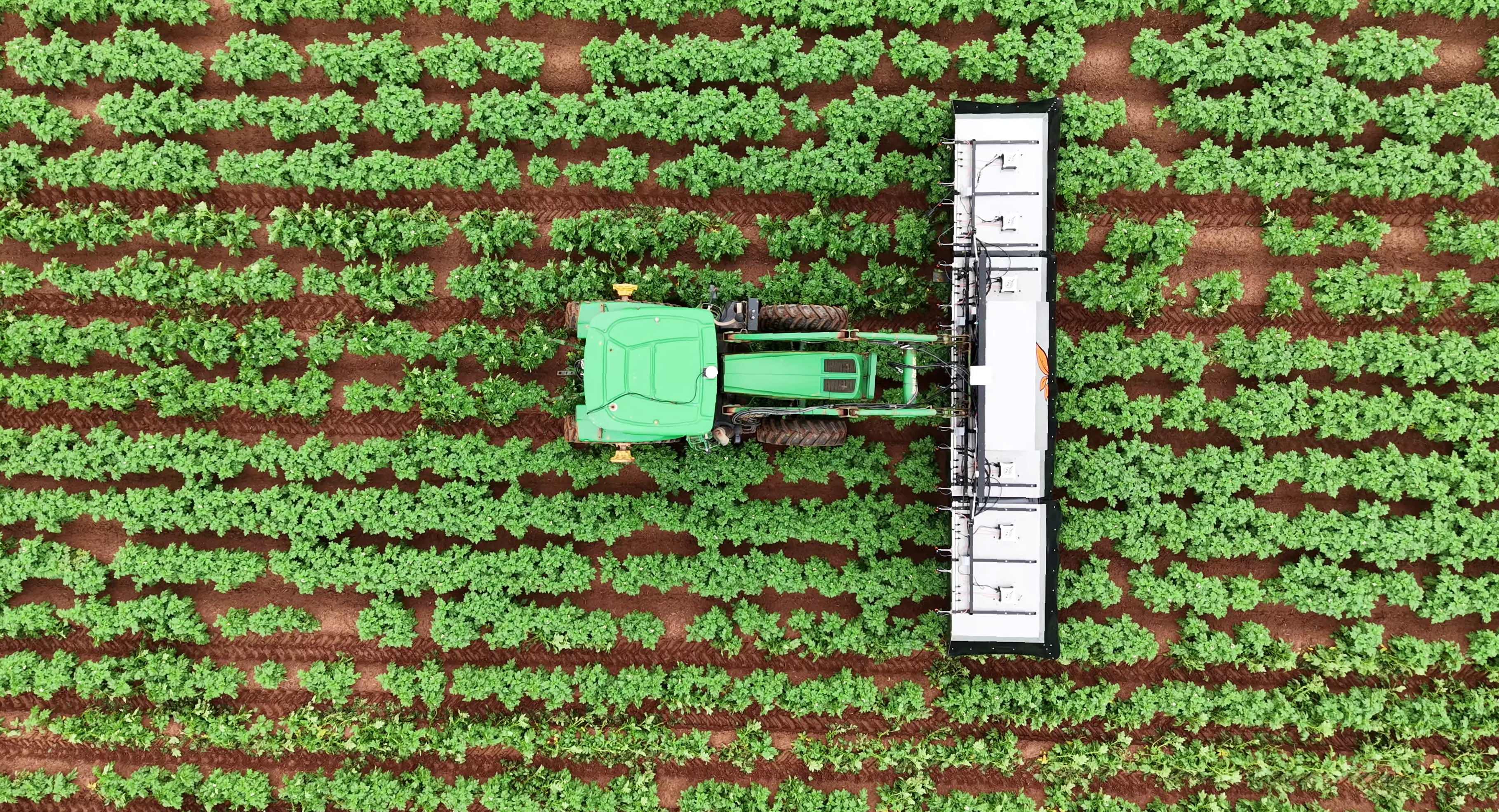 Tractor with the We-Rogue camera boom driving toward the camera through potato rows
