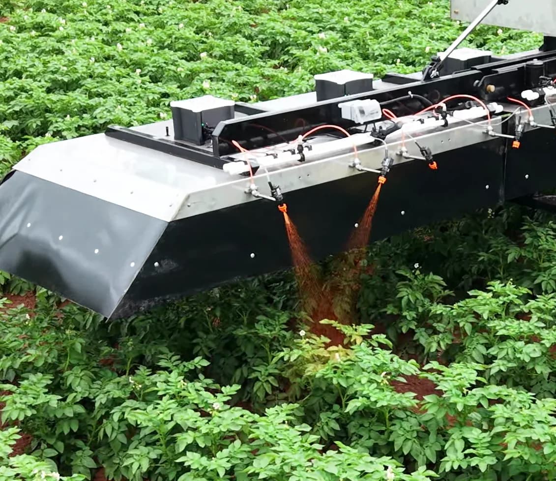 Close-up of the We-Rogue boom spraying targeted plants in a potato row