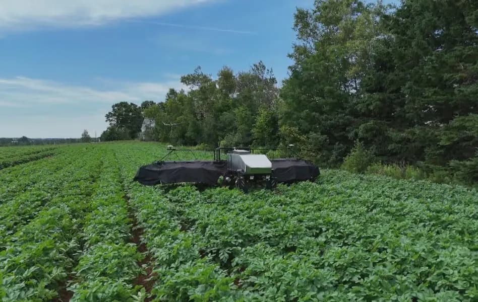 Agriscout Robot in the field