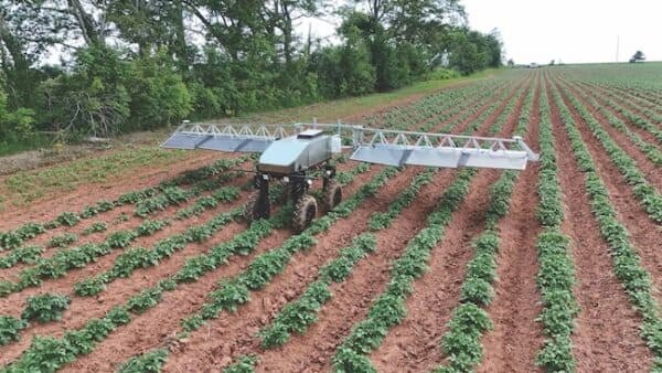 Agriscout robot in the field
