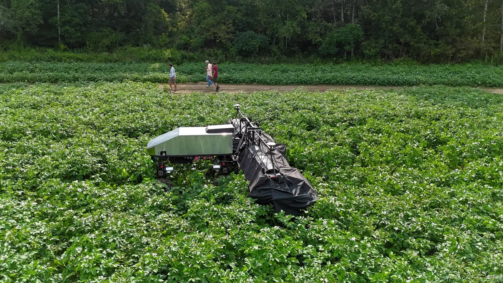 Agriscout robot in a potato field