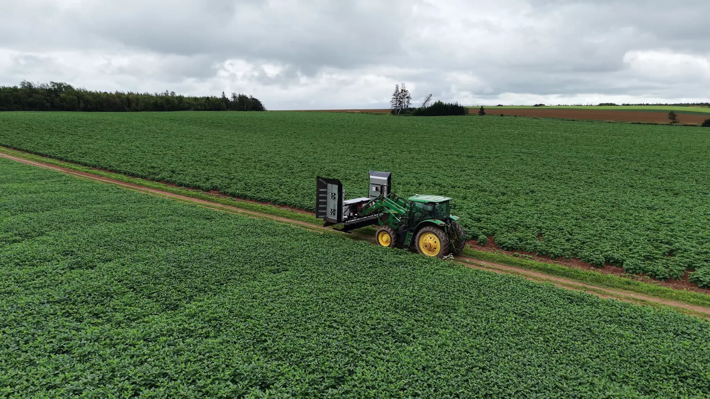 Tractor-mounted We-Rogue system driving along a potato field
